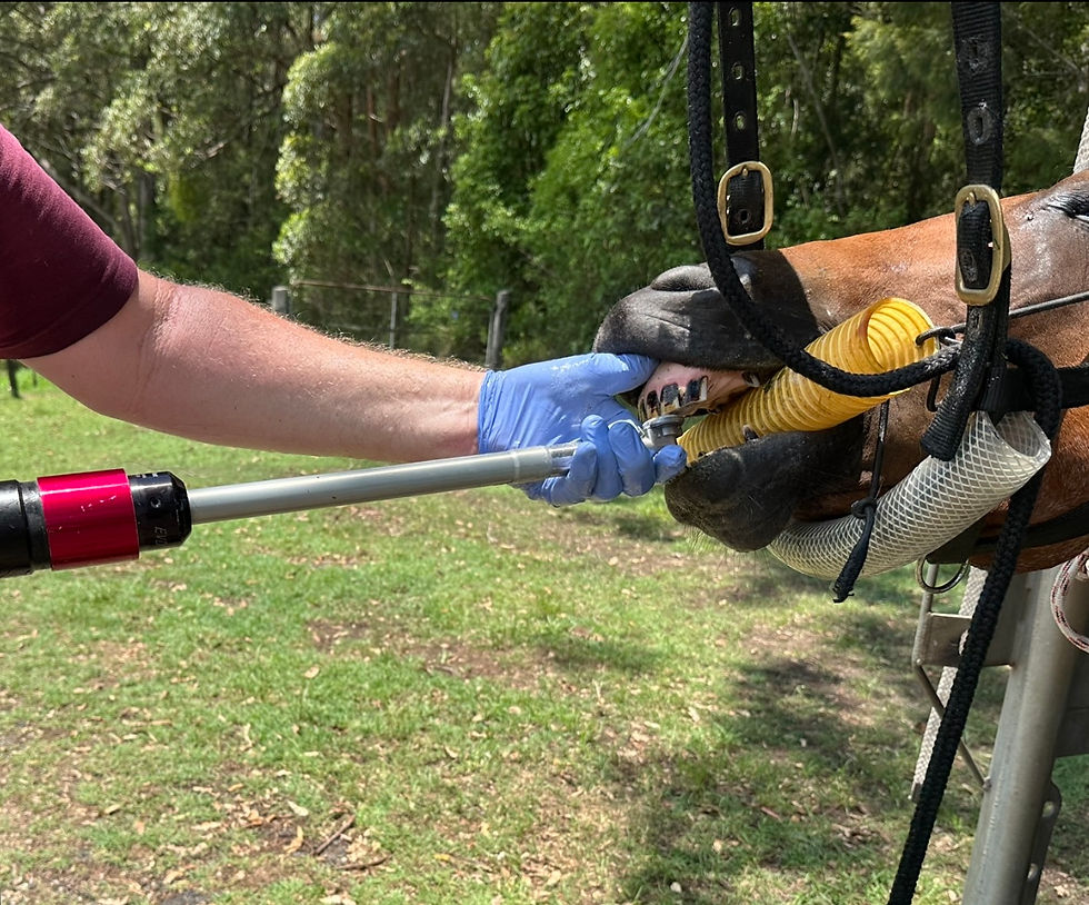 Thumbnail: PF Diamond Grinding Disc