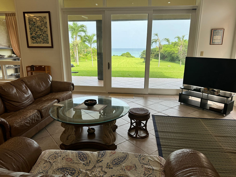 Villa Living area1