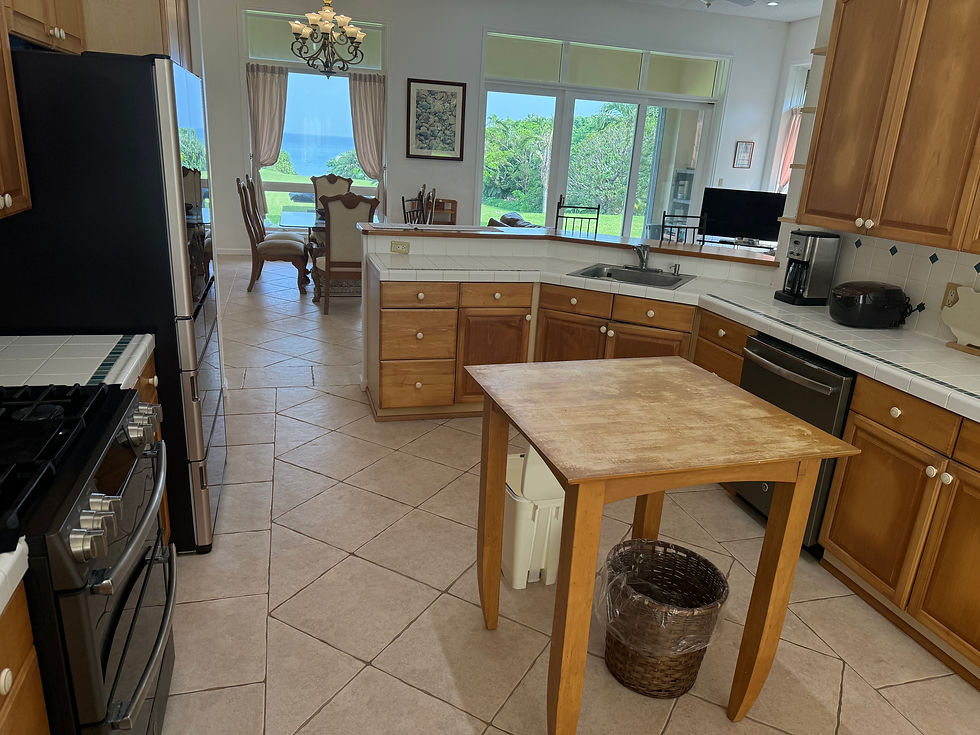 Villa kitchen1