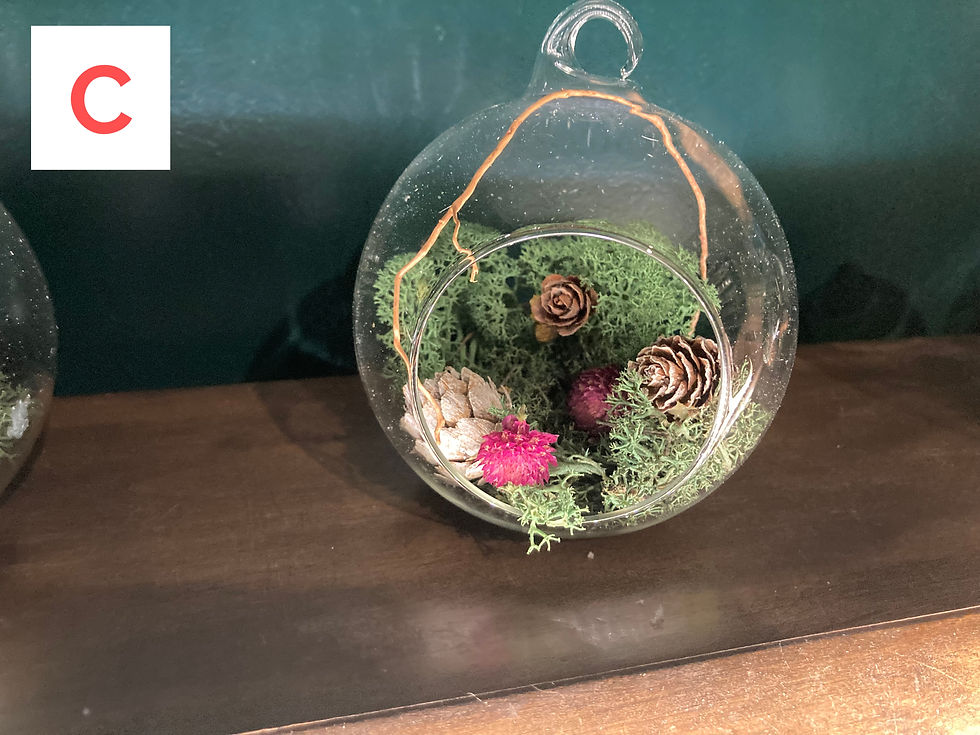 Miniature : Boule Fleurs Séchées