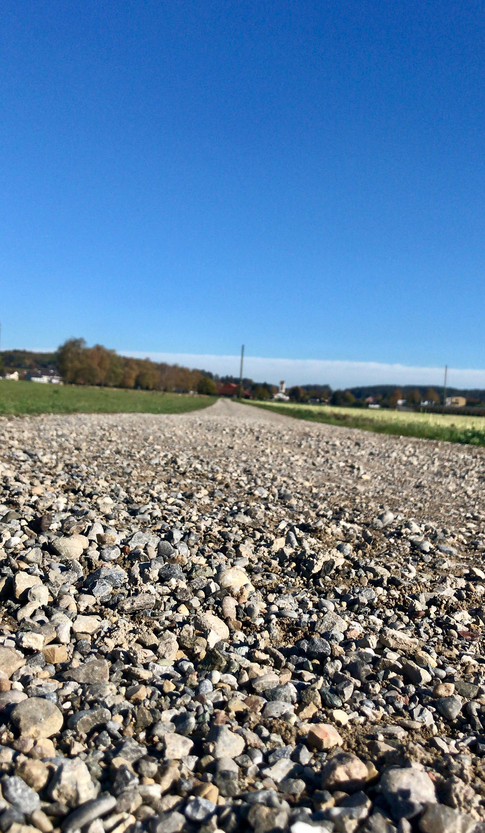 Metamorphose Weg