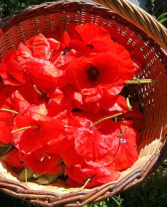 panier de coquelicot
