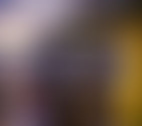 LA VINYA DEL SENYOR (El Born)