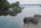 Saldun Beach on Ciovo island offers crystal clear waters and plentiful swim spots.