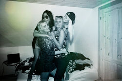 Blend veleprodaja,Blend trgovina