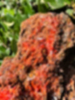 Thumbnail: Crocoite- Tazmania