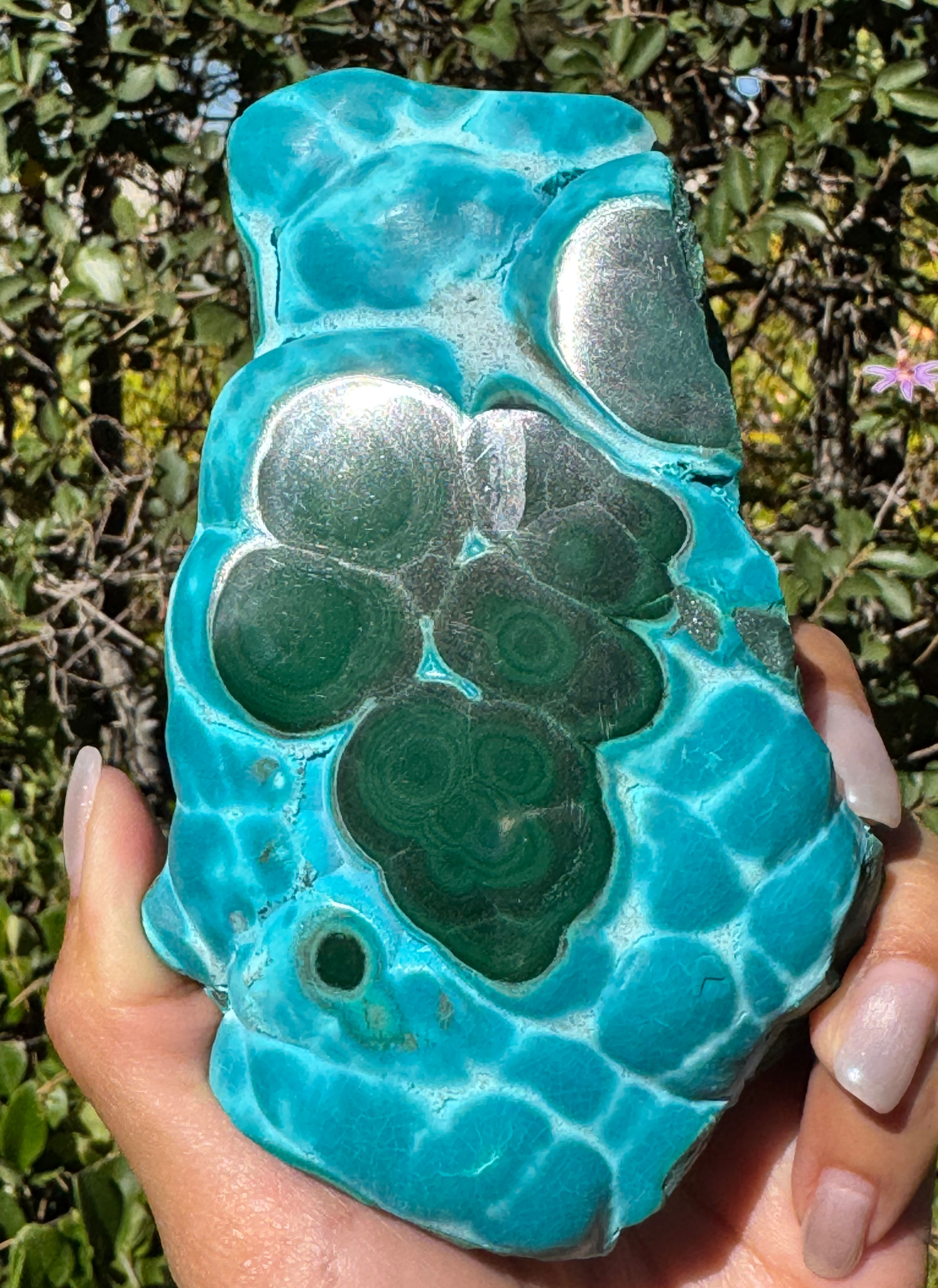Malachite w/Chrysocolla – Congo