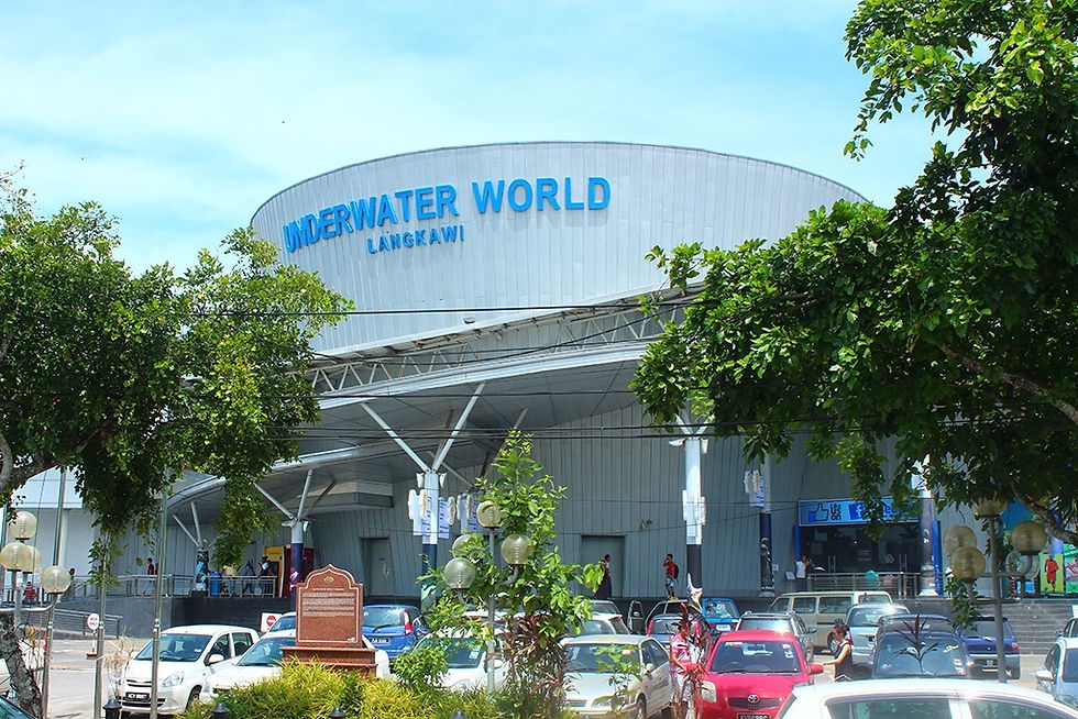 Langkawi-underwater-world.jpg