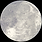 IMG_0117 (1).PNG