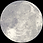 IMG_0117 (1).PNG