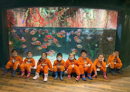 WhatsApp Image 2022-10-03 at 15.13.18 (17).jpeg