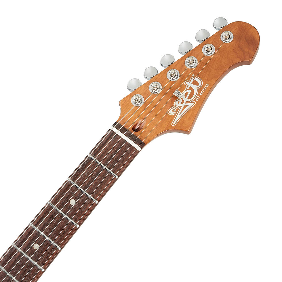 Miniatura: JET GUITARS JT-300 PK R