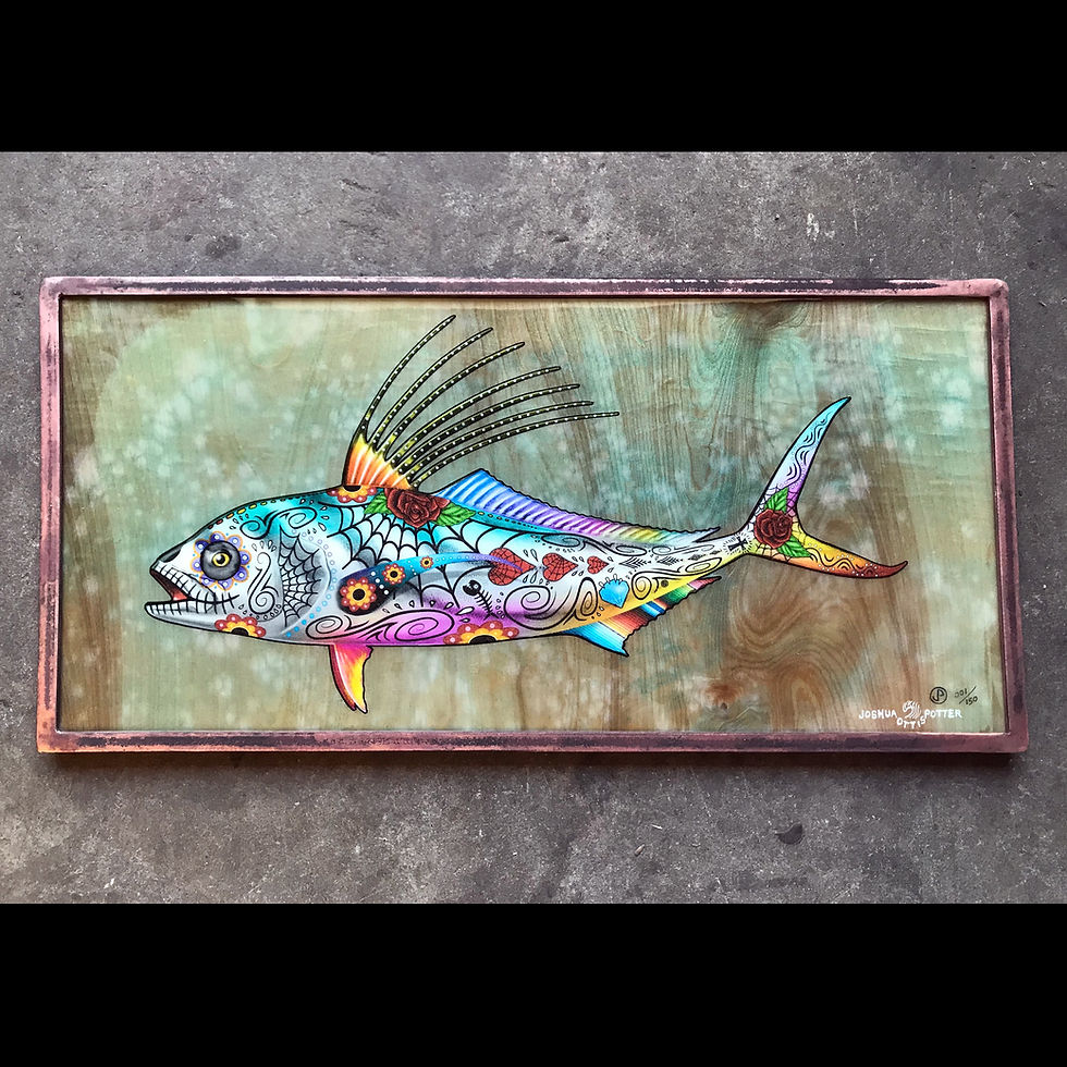 Thumbnail: "DOD ROOSTER FISH"