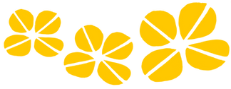 World Comedy Foundation Logo.PNG