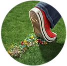 Keeping an eye on the ecology