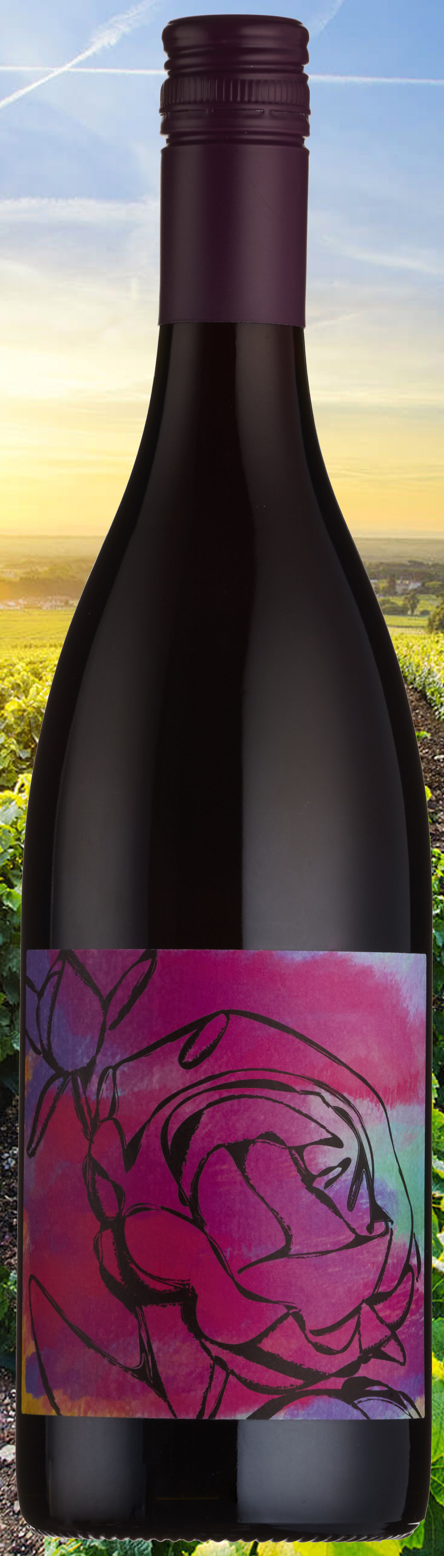Les Pivoines, Beaujolais Villages 2024 (6 bottles case)
