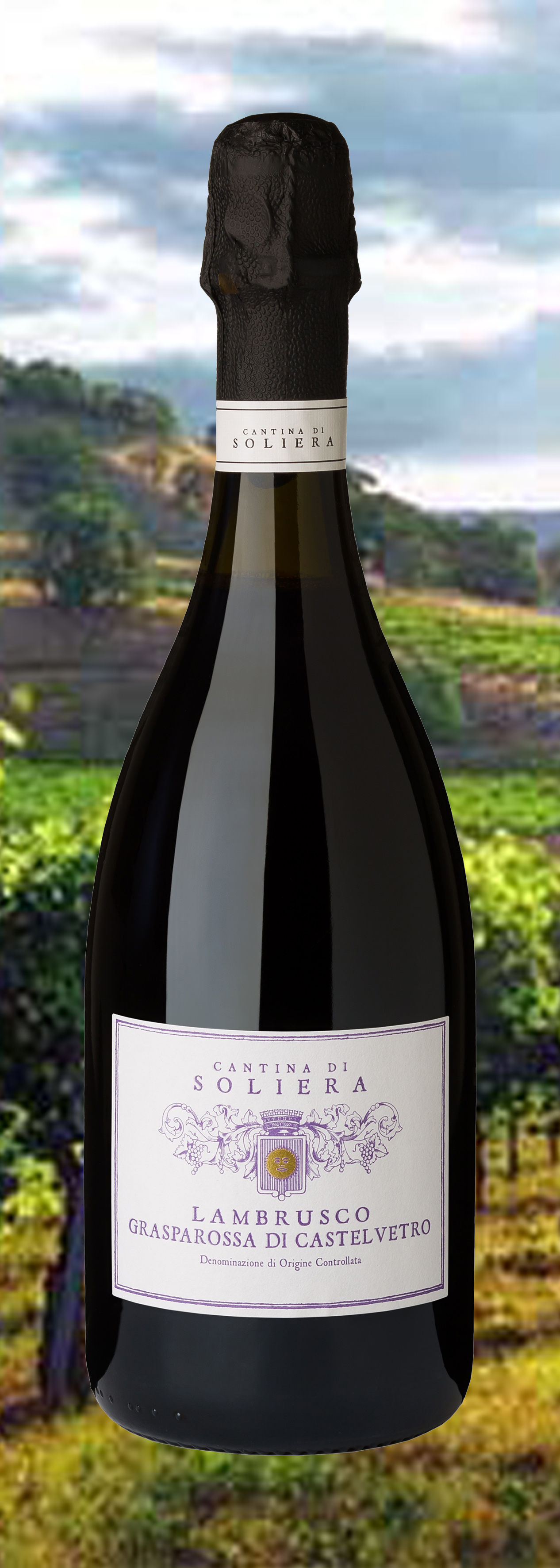 Cantina di Soliera Lambrusco Grasparossa di Castelvetro DOC (6 bottles case)