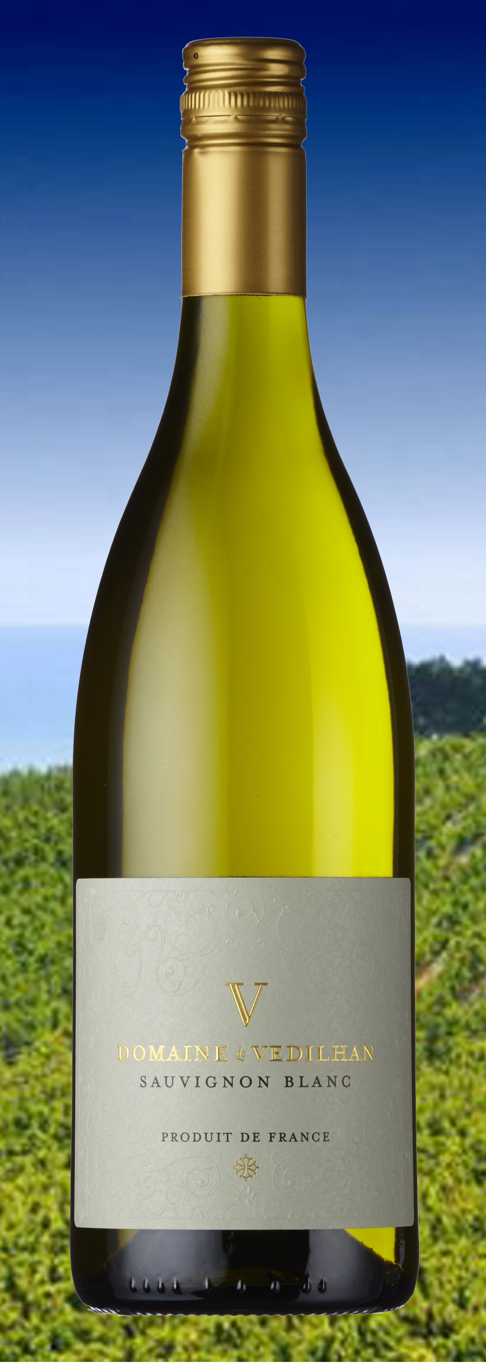 Domaine de Vedilhan Sauvignon Blanc, Pays d'Oc 2023 (6 bottles case)
