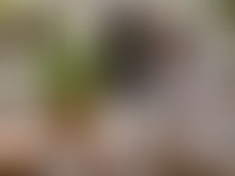 Una mujer hojea un catálogo de decoración mientras disfruta de la luz natural que entra en la habitación.