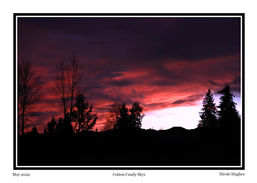 NicoleH - Silhouette2.jpg