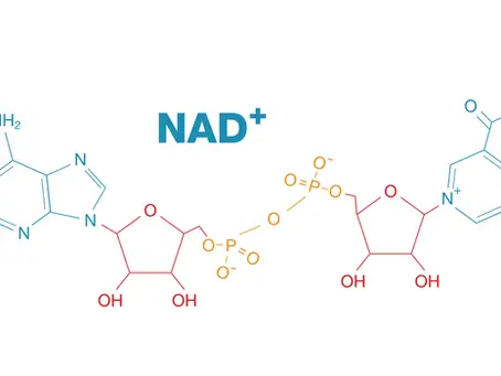 Unlocking the Benefits of NAD+ Infusion: Everything You Need to Know