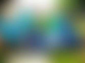 North Carolina Tornadoes April 2011