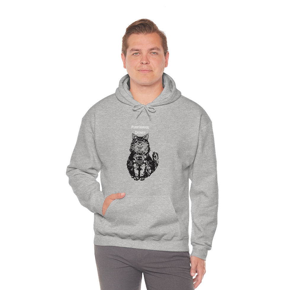 Thumbnail: Purranormal Cativity Cat: Unisex Heavy Blend™ Hooded Sweatshirt