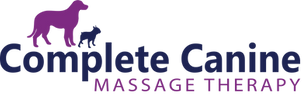 massagetherapy1 (1).png