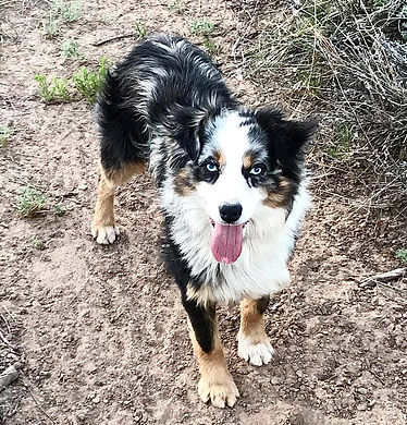 100474911_143887640584602_70898818690465