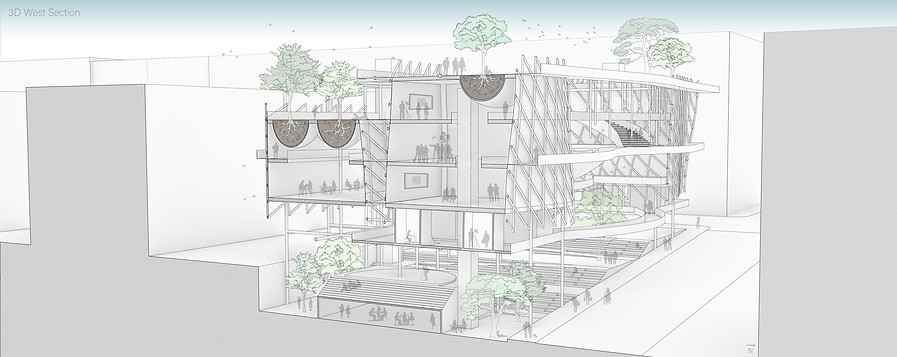 FINAL 3D section draft 3-01.jpg