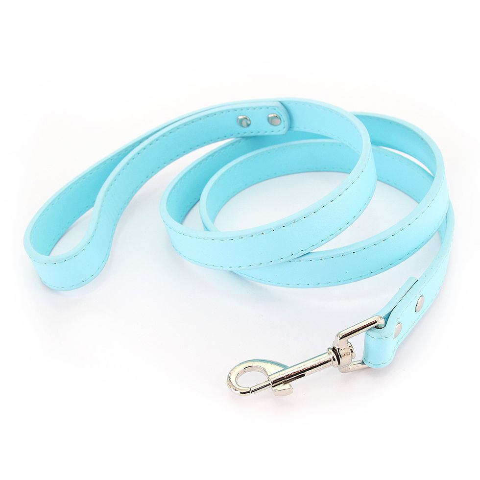 Thumbnail: Leather Solid Color Dog Leash