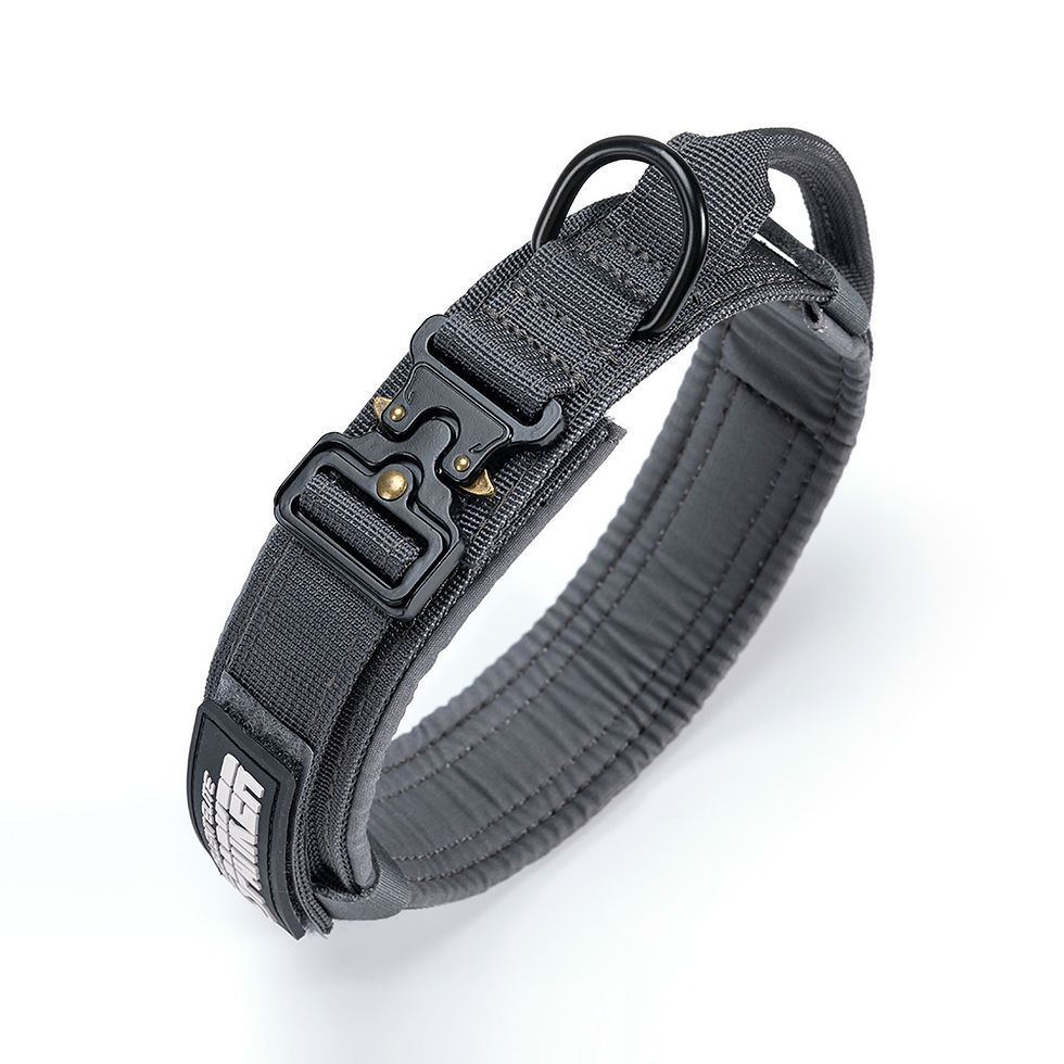 Thumbnail: Dog Tactical Collar LED Nylon Outdoor Training