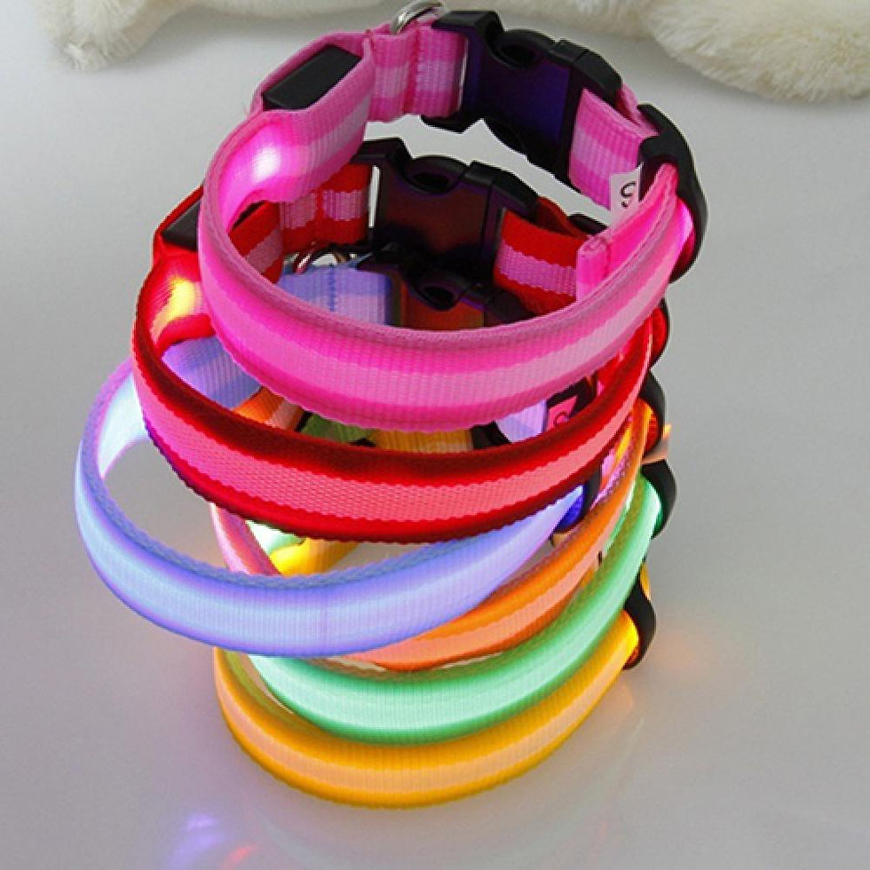 Thumbnail: LED Dog Anti-lost Collar Glowing Luminous LED Light Pet Collar