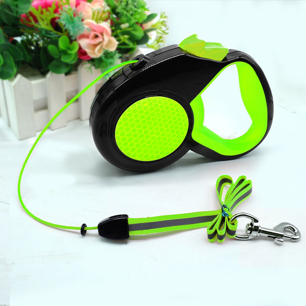 Thumbnail: Retractable Dog Leash Automatic Extending