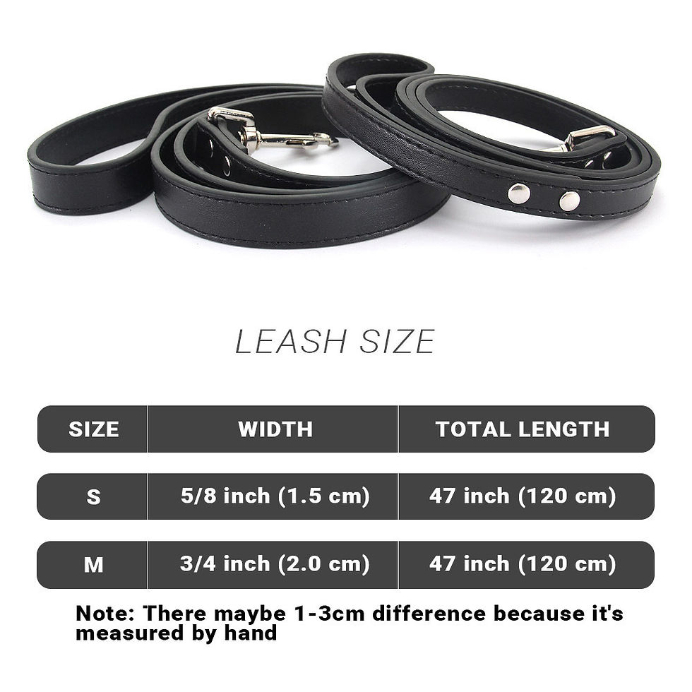 Thumbnail: Leather Solid Color Dog Leash