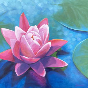 "Lotus Transformation"