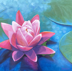 "Lotus Transformation"