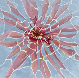 "Flower Web"