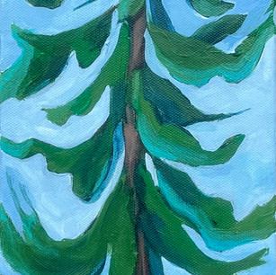 "Tree Breeze"
