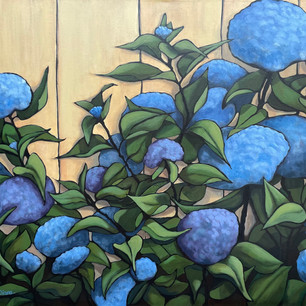 "Hydrangea Fence"