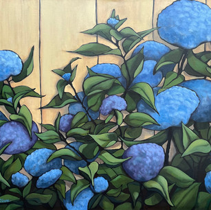 "Hydrangea Fence"