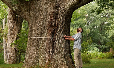 Dode and trunk closer resized.JPG