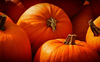 pumpkins-3726919_1280.jpg
