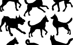 animal-1299485_1280.png