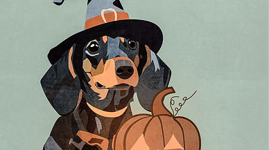 dachshund-8285220_1280 (1).jpg