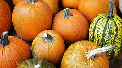 pumpkin-7488964_1280.jpg