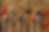 spices-4185324_1280.jpg