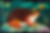 frog-7973402_1280.jpg
