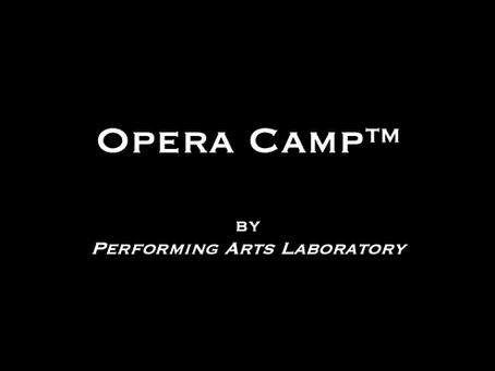 Beyond the “Paint Jobs” in Opera production.