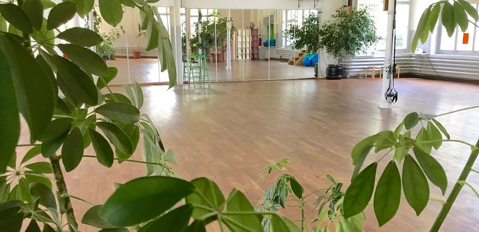 AtelierFirleTanz Rapperswil Jona Schweiz Tanz Kurse Workshop Privatunterricht Tanzunterricht Tanzkurse Modern Dance Kurse, Valentin Rüdisüli , Bellydance Fusion , Tribal Fusion Bellydance Schweiz Paartanz Pilates , Keramik Atelier , Viviane Gerhard Keramik , Rapperswil-Jona Schweiz
